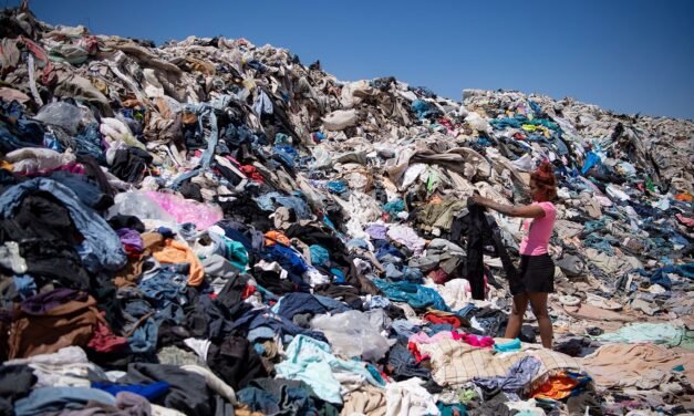 LEY ANTI FAST FASHION