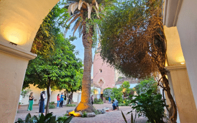 Córdoba de los patios: un viaje al alma de la ciudad